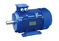 金龍高效三相異步電機(jī)的使用條件