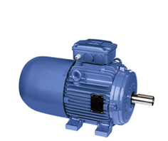 誰知道WEG w21高效節(jié)能電機(jī)系列的防護(hù)等級(jí)？