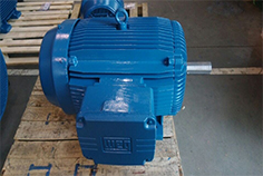 高效節(jié)能電機(jī)具備很多普通電機(jī)無(wú)法相媲美的特性