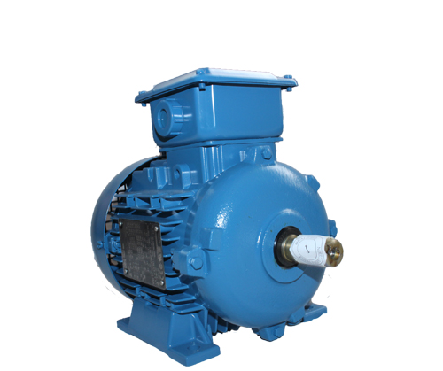 中國質(zhì)保三年的高效節(jié)能電機(jī)