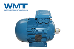 針對高壓電機(jī)信號檢測的幾種方法