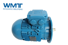 WEG高壓電機在水泥行業(yè)應(yīng)用的優(yōu)秀業(yè)績