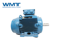 萬高電機(jī)人員分享如何區(qū)分電機(jī)防爆等級