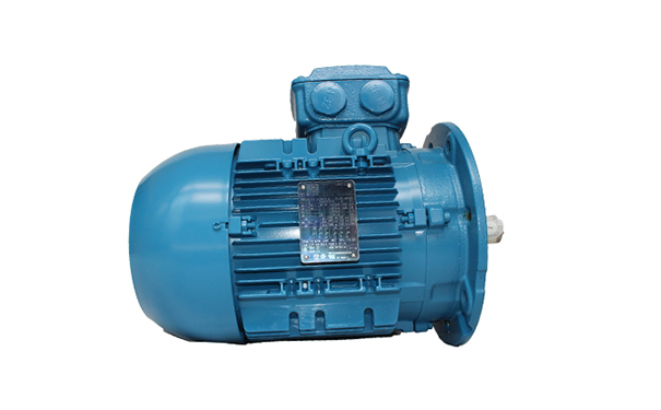 高原環(huán)境對電機(jī)性能有什么影響