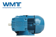 廢水提升站使用WEG Pump Genius減少維護并擴展MTBR