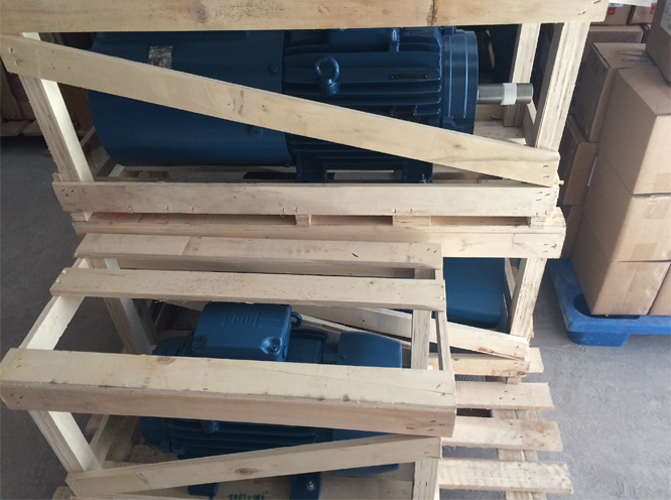 IE4超超高效節(jié)能電機(jī)