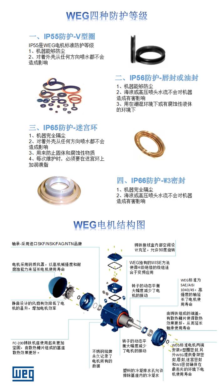 WEG多電壓電機(jī)防護(hù)等級(jí)和結(jié)構(gòu)圖