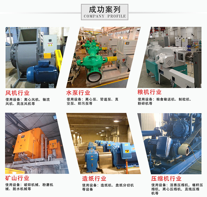 WEG電機(jī)案例