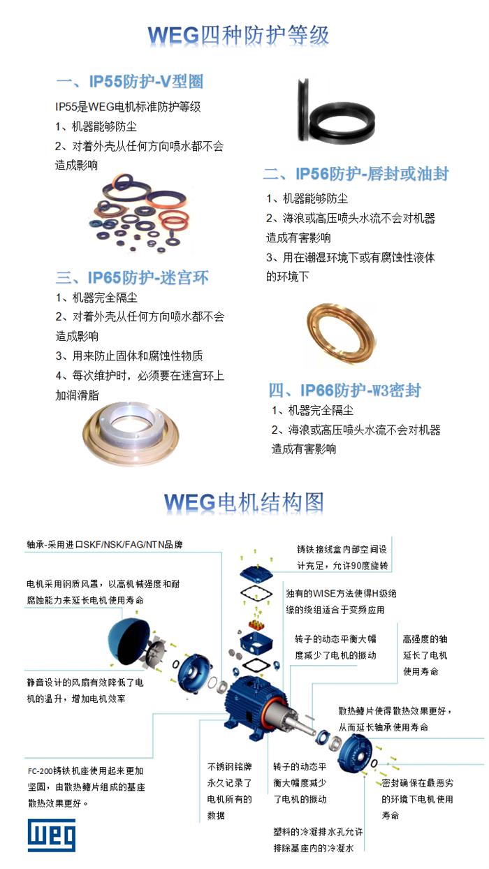 WEG電機(jī)防護(hù)等級(jí)