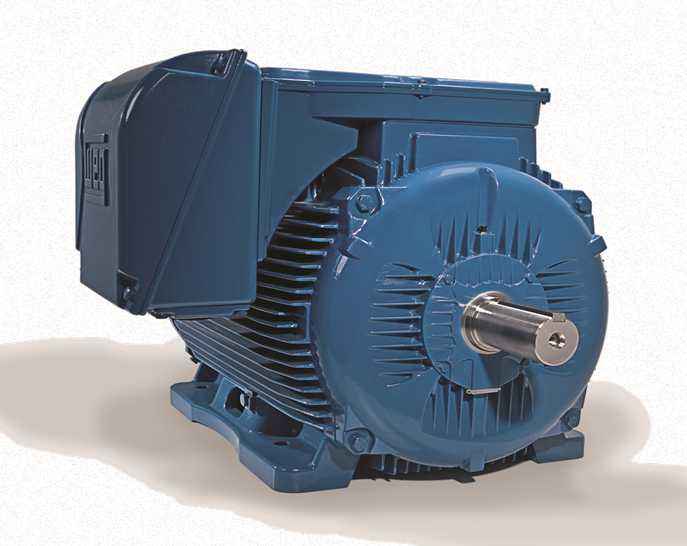 高壓電機(jī)常見問題及其原因