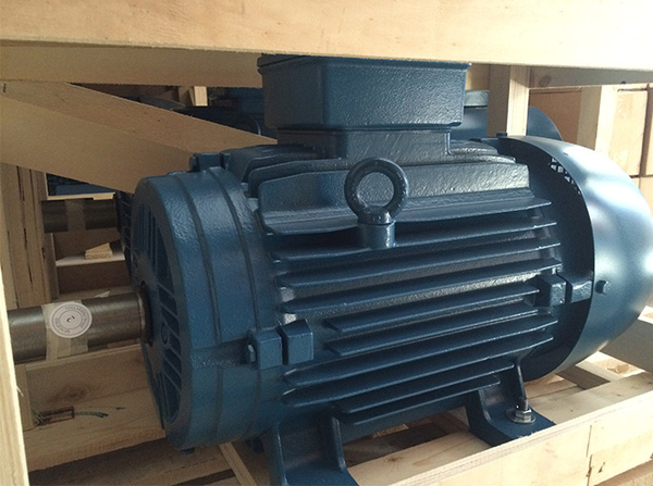 WEG(IE4)高效節(jié)能電機